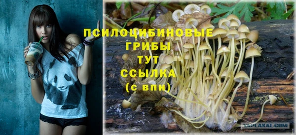метадон Абинск
