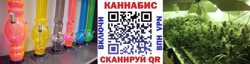 Конопля Amnesia  Пойковский 